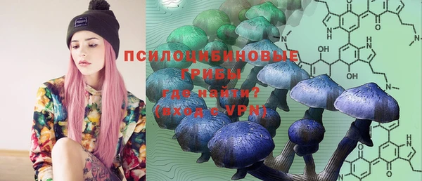 прущая мука Няндома