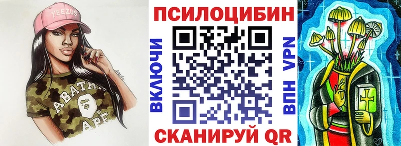 где купить наркоту Тайга Галлюциногенные грибы Psilocybine cubensis